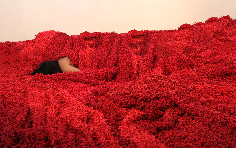 India Art Fair – 2015