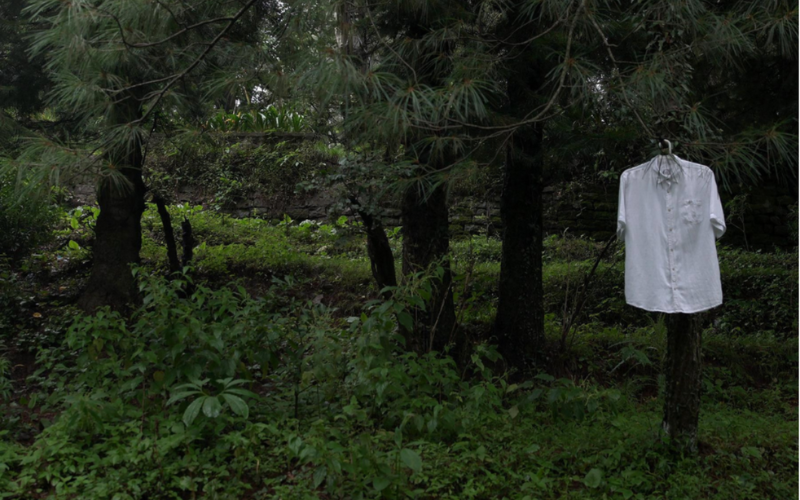 Forestial Flock | Curated by Adwait Singh