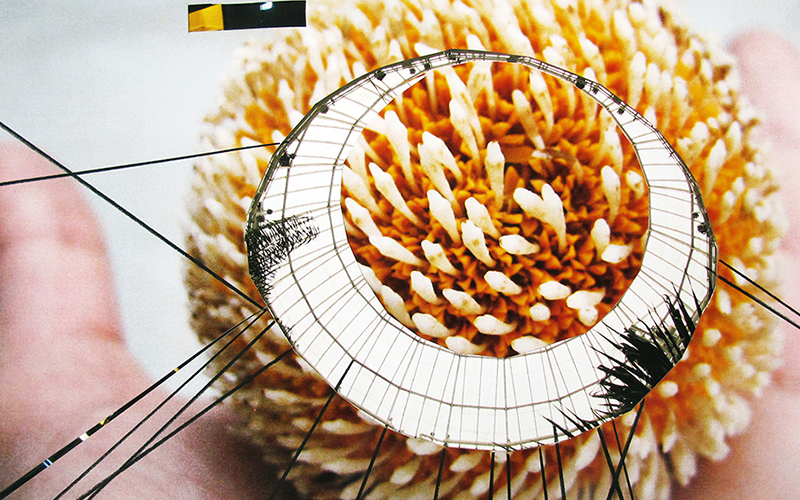 This Place, That Place