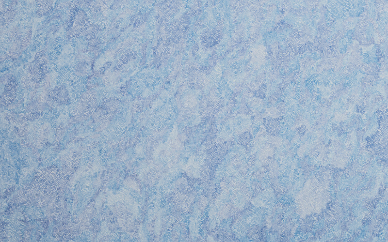 India Art Fair – 2017