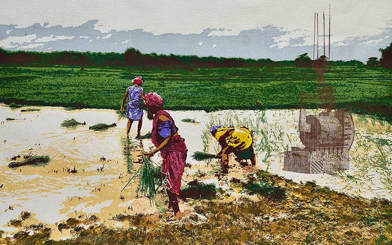 Now They Stopped Building Granaries