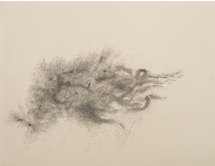 Exhibition: Neerja Kothari