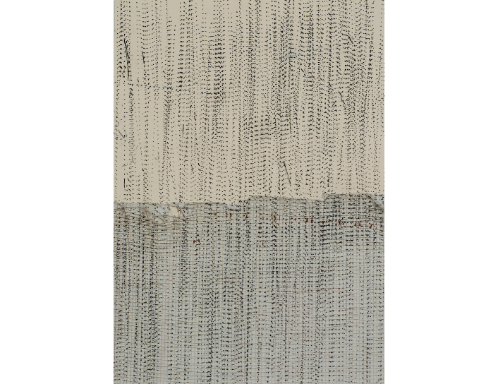 Exhibitions: Shruti Mahajan