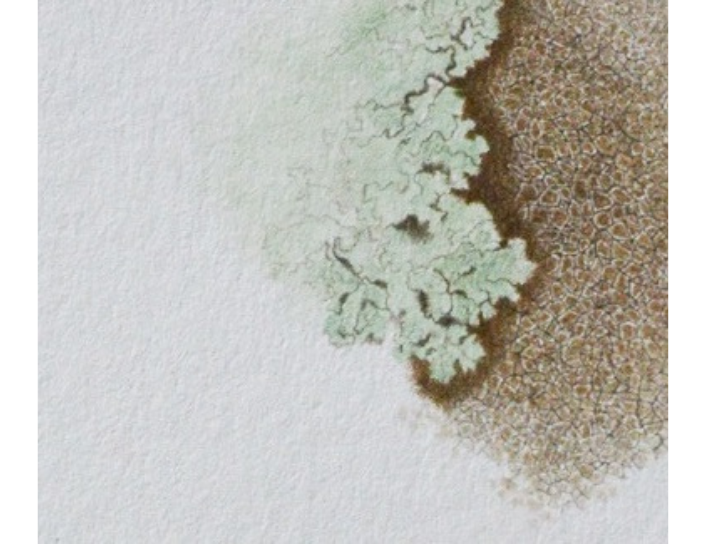 Residencies: Khushbu Patel