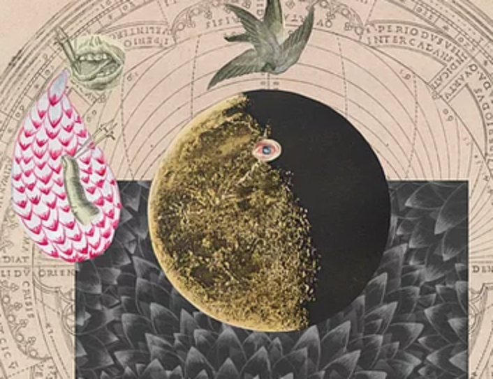 Exhibitions: Samanta Batra Mehta