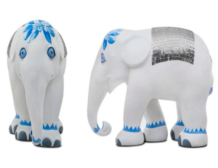 Tayeba Begum Lipi at Elephant Parade