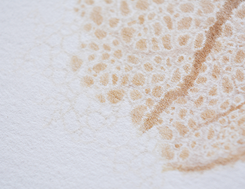 Residencies: Khushbu Patel