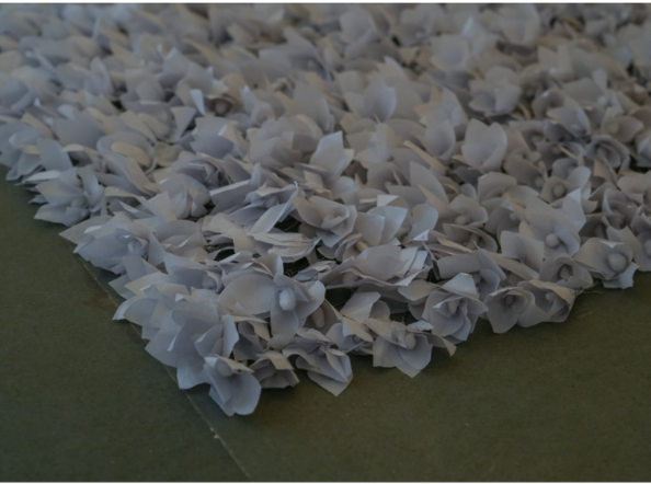 What the flowers remember- The New Indian Express