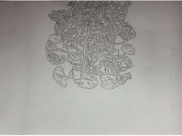 Compelling artworks to look out for at the third edition of the Delhi Contemporary Art Week 2019-The Indian Express