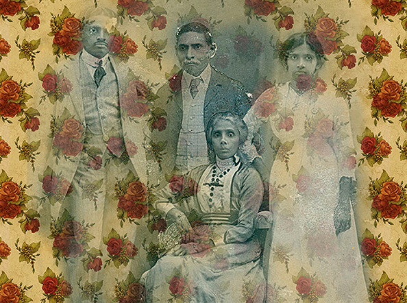 Rose Wallpaper Series I