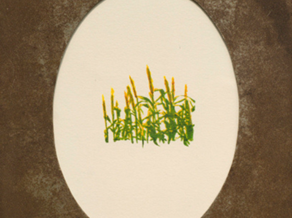 Object Studies from Memories