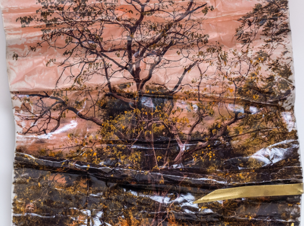 घर-बेघर – 1 / Ghar-Beghar - 1