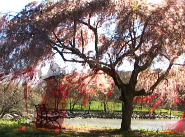 Drape of Inconvenience 5