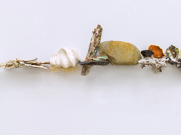 Glyphs of a Temporal Landscape