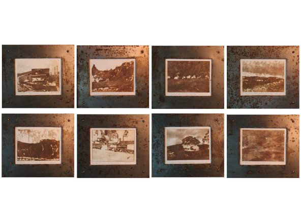 Sitting Cows & their Surrounding