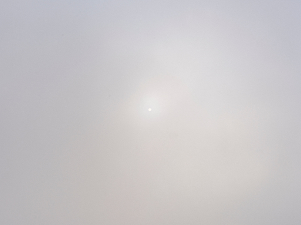 Untitled Suite V, Nirobodhi