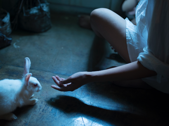 Quarantine, An Elegy for Ecology