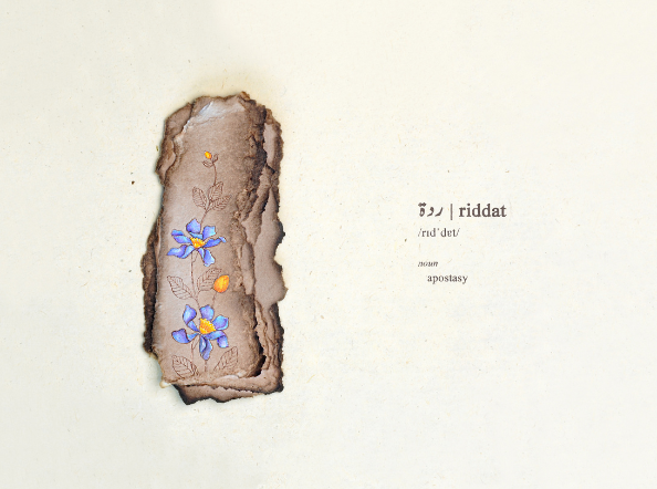 Disabled Dictionary: South Asia Edition 'र' (Speech therapist approved) - T9 Riddat