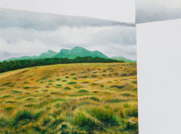 Horton Plains, 2023