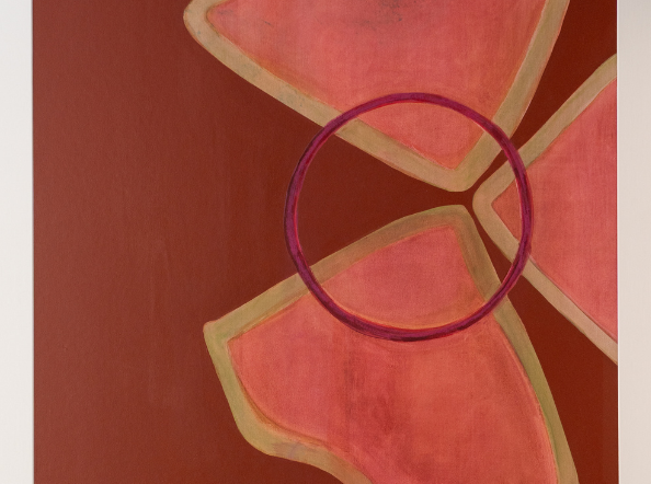 A color of rose, 2025