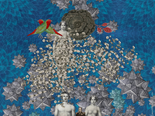 Light from Another Sun