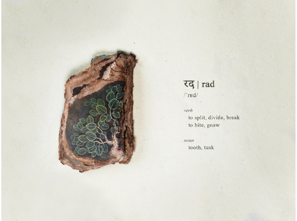 Disabled Dictionary: South Asia Edition 'र' (Speech therapist approved) - C1 Rad