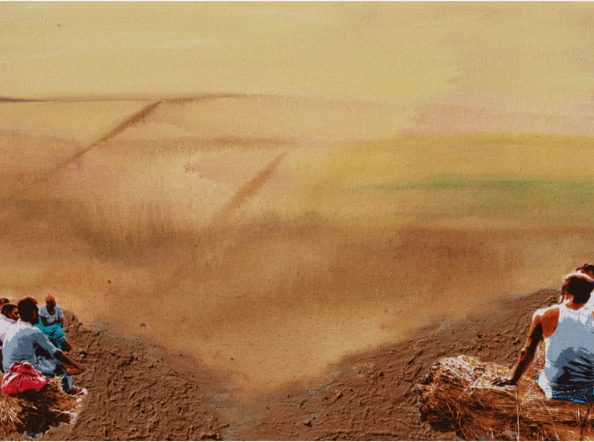 All our seeds are saved