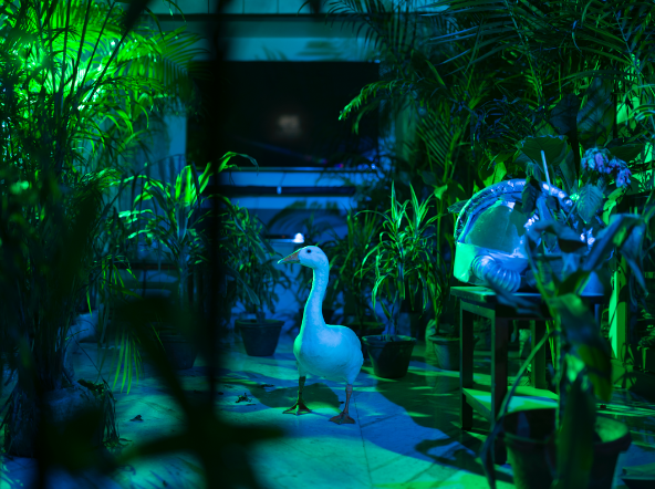 The World Without Us (after Weisman)