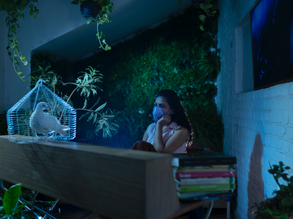 Cohabitants, An Elegy for Ecology