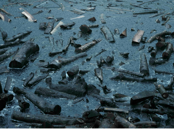 Logging / Residue of New Rail tracks