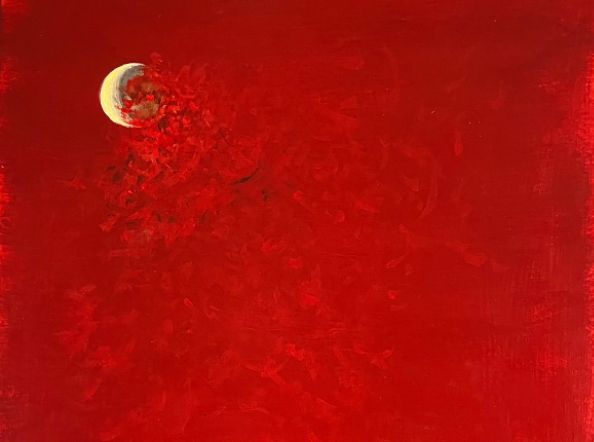 Diary Entries 2021-23