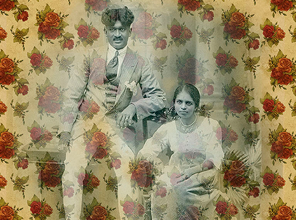 Rose Wallpaper Series II