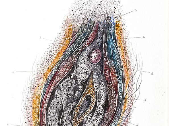 Frayed and Floating / Unbound and Untethered