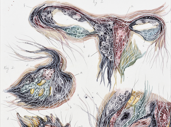 Cross sections, Uterine Swims 1.2 / Unbound and Untethered