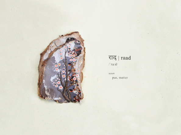 Disabled Dictionary: South Asia Edition 'र' (Speech therapist approved) - T2 raad