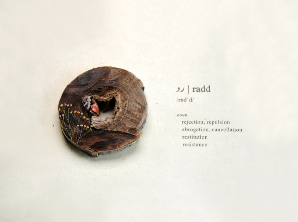 Disabled Dictionary: South Asia Edition 'र' (Speech therapist approved) C3 - Radd