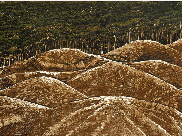 Forest without the Sky