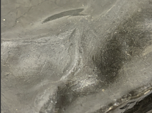 I carry my river in pieces