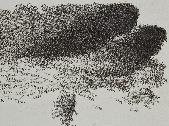 Trepid Traces (6750)