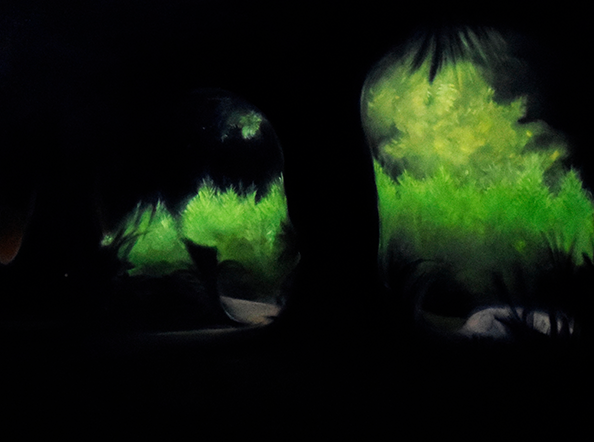 Nox Umbra / Night Shadows