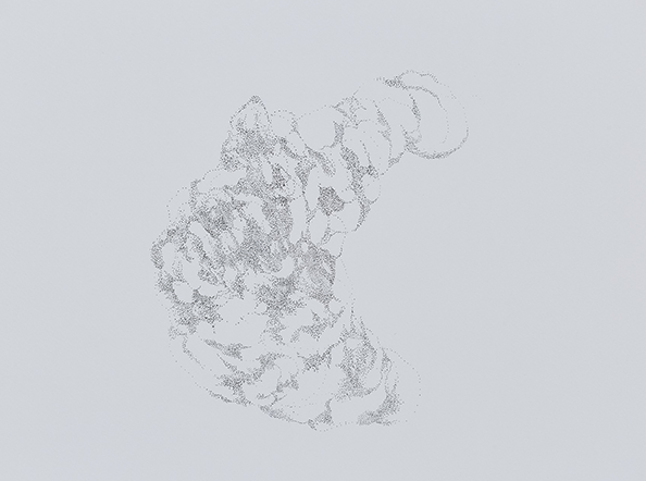 Murmuration (# 5) at 4600, 5000, 6500 & 5500