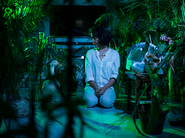 ​An Elegy for Ecology - 8 (Kolkata, West Bengal, India)