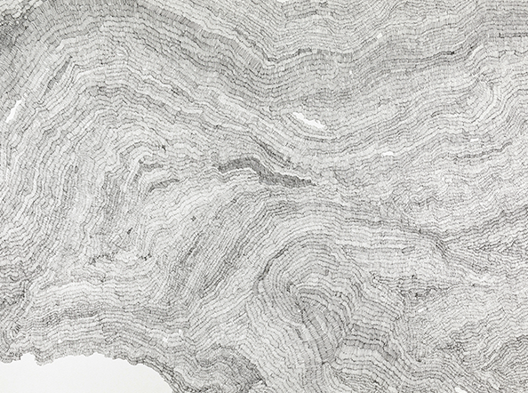 this mark repeatedly (68300)