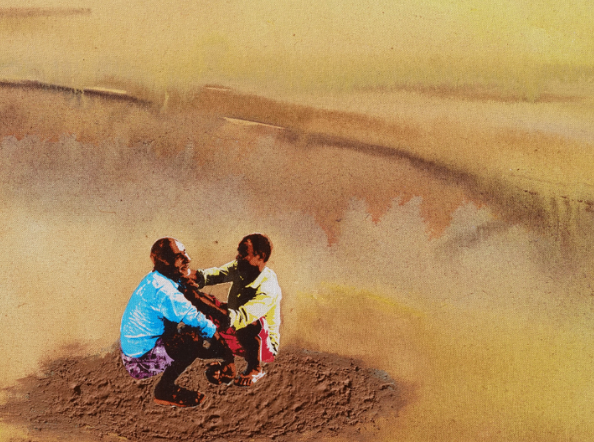 All our seeds are saved