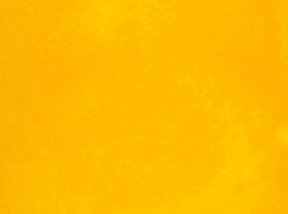 Only the Golden Spice will Cure Me