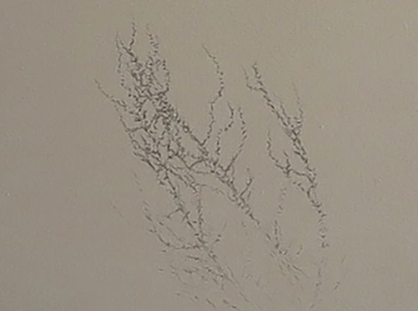 That Which Lies Beyond