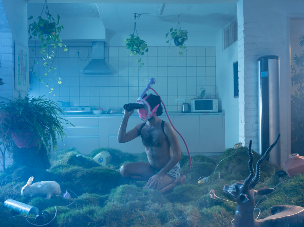 Dzukou Valley, An Elegy for Ecology