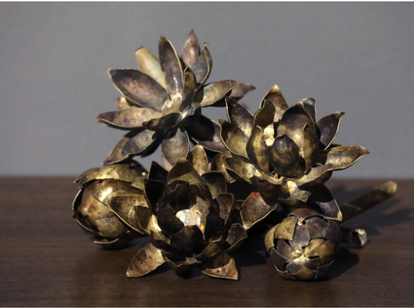 Objects of Interest- Lotuses