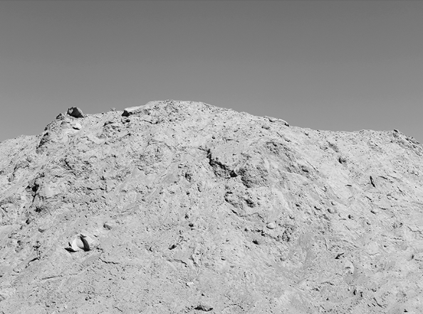 Excerpts from Studies for a Failed Monument