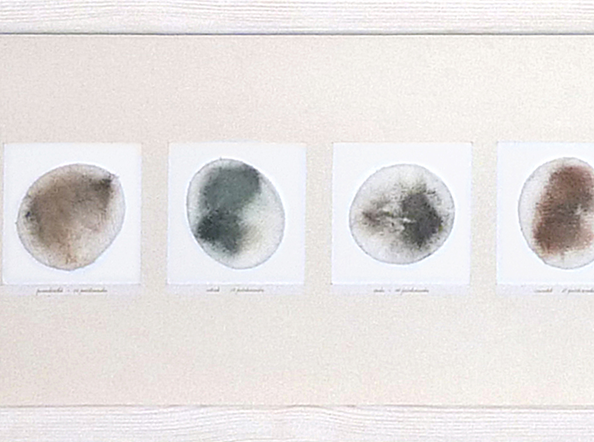 A Month of a Woman’s Face